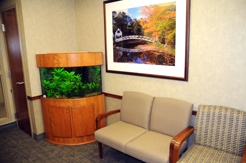 Reef Tectonics Aquarium Maintenance and Design Lincoln & Omaha